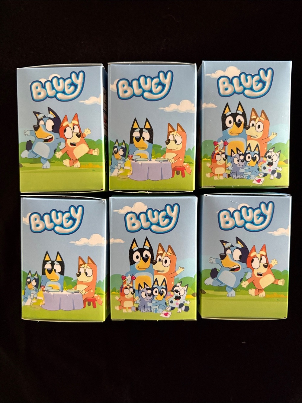 Keychain or Toy Bluey Blind Boxes Set of 6